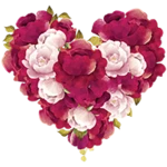 flowers stickers for whatsapp android application logo